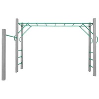 Lifespan Kids Amazon Monkey Bars 3.0m Bars Only