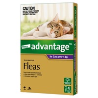 Advantage Cat Large Purple