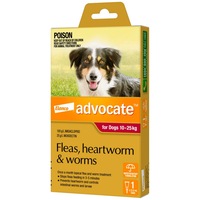 Advocate Dog Large Red