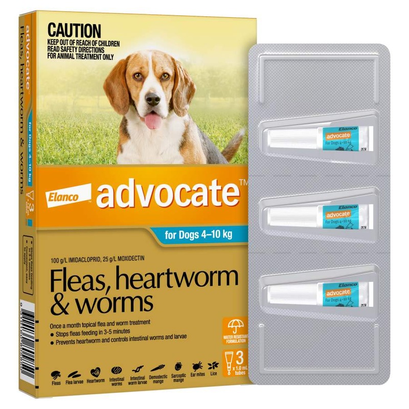 Buy Advocate Dog Medium Blue - Mydeal