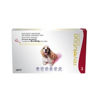 Revolution Dog Medium Red