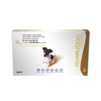Revolution Dog Small Brown