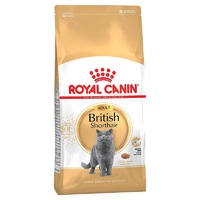 Royal Canin British Shorthair Adult