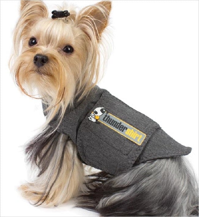 Thundershirt overnight hotsell