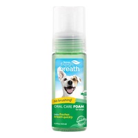 TropiClean Fresh Breath Oral Care Mint Foam