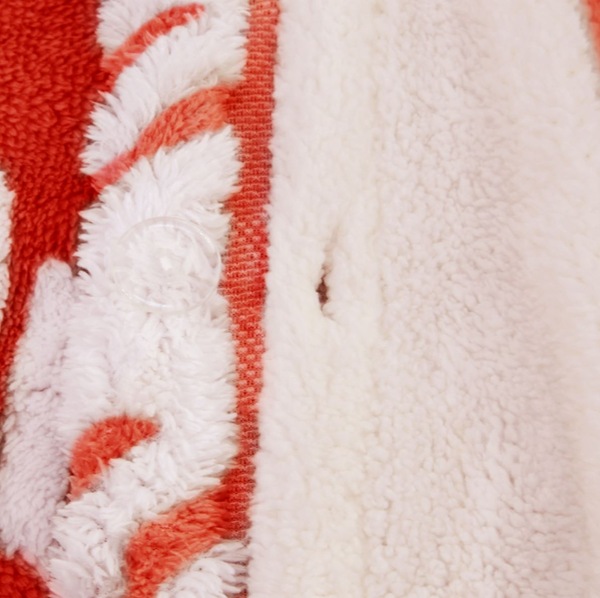 Image 23