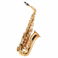Axiom Concerto Alto Saxophone Outfit
