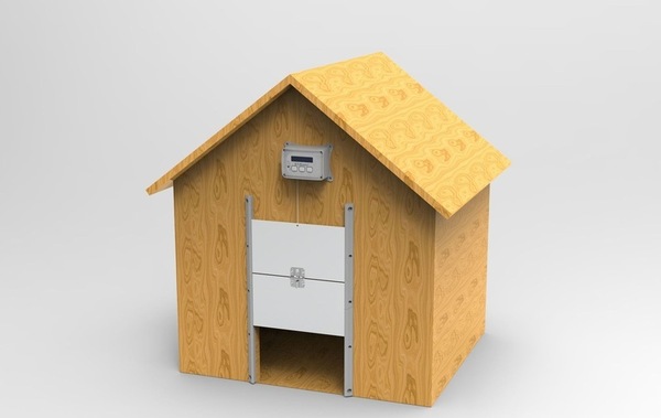 Image 7