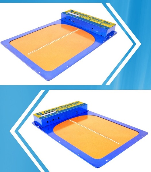 Image 7