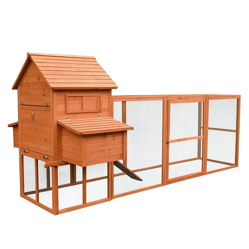 Buy PawHub Extra Large 3.1 Meters Wooden Chicken Coop with run Rabbit