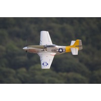 FlightLine P-51D Mustang 850mm (33") Wingspan PNP EPO RC Plane Airplane RC Model