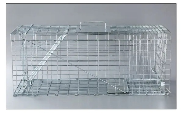 Image 4