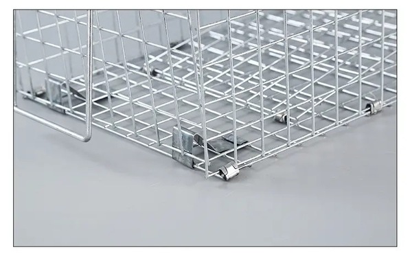 Image 6