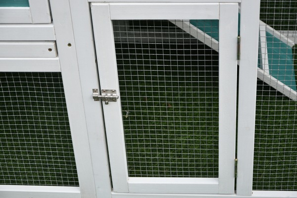 Image 7