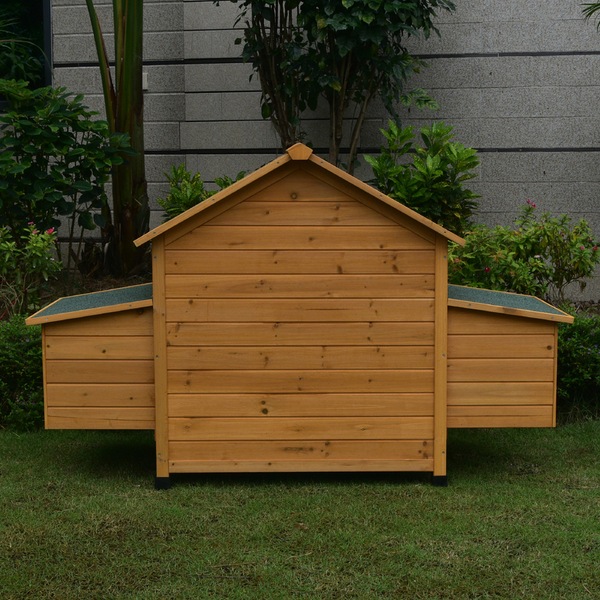 Image 10