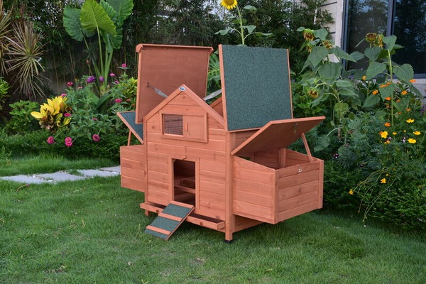 Image 8