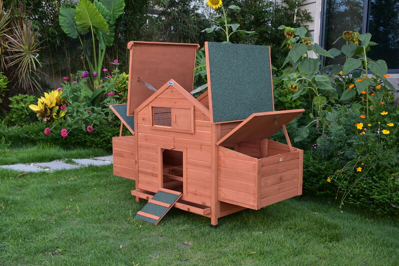Image 8
