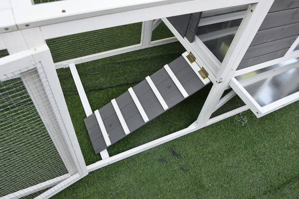 Image 10