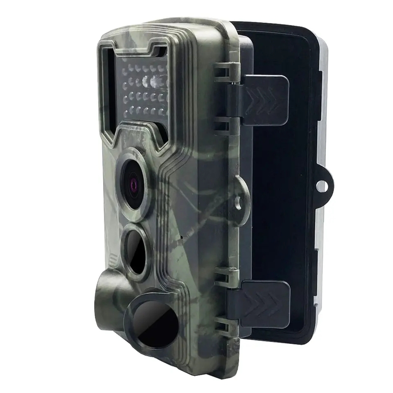 Image 2