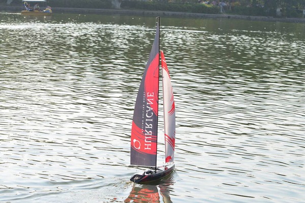 Image 5