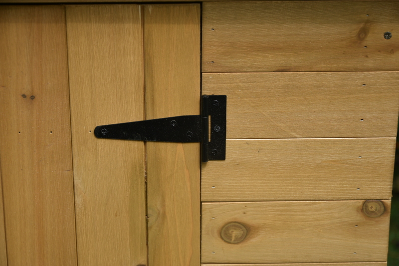 Image 9