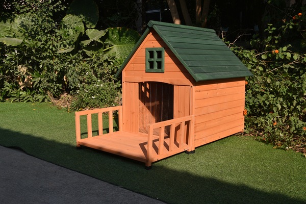 Image 4