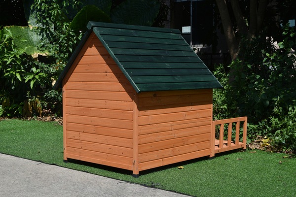 Image 7