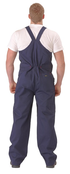 Image 4