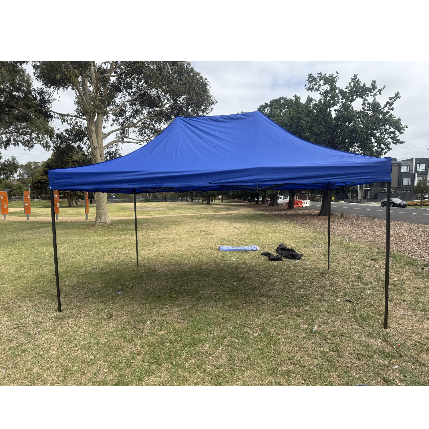 Image 4
