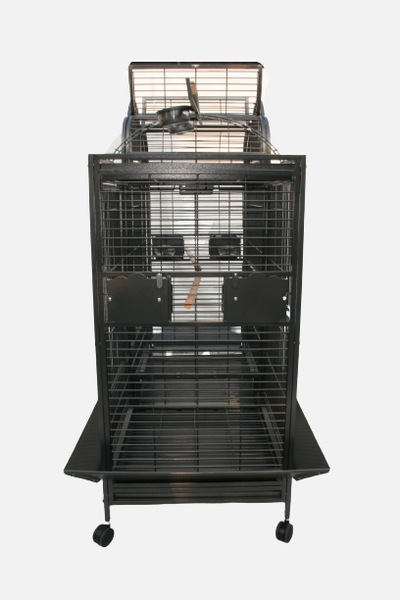 Image 4