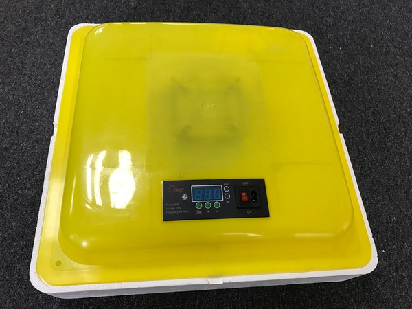 Image 2