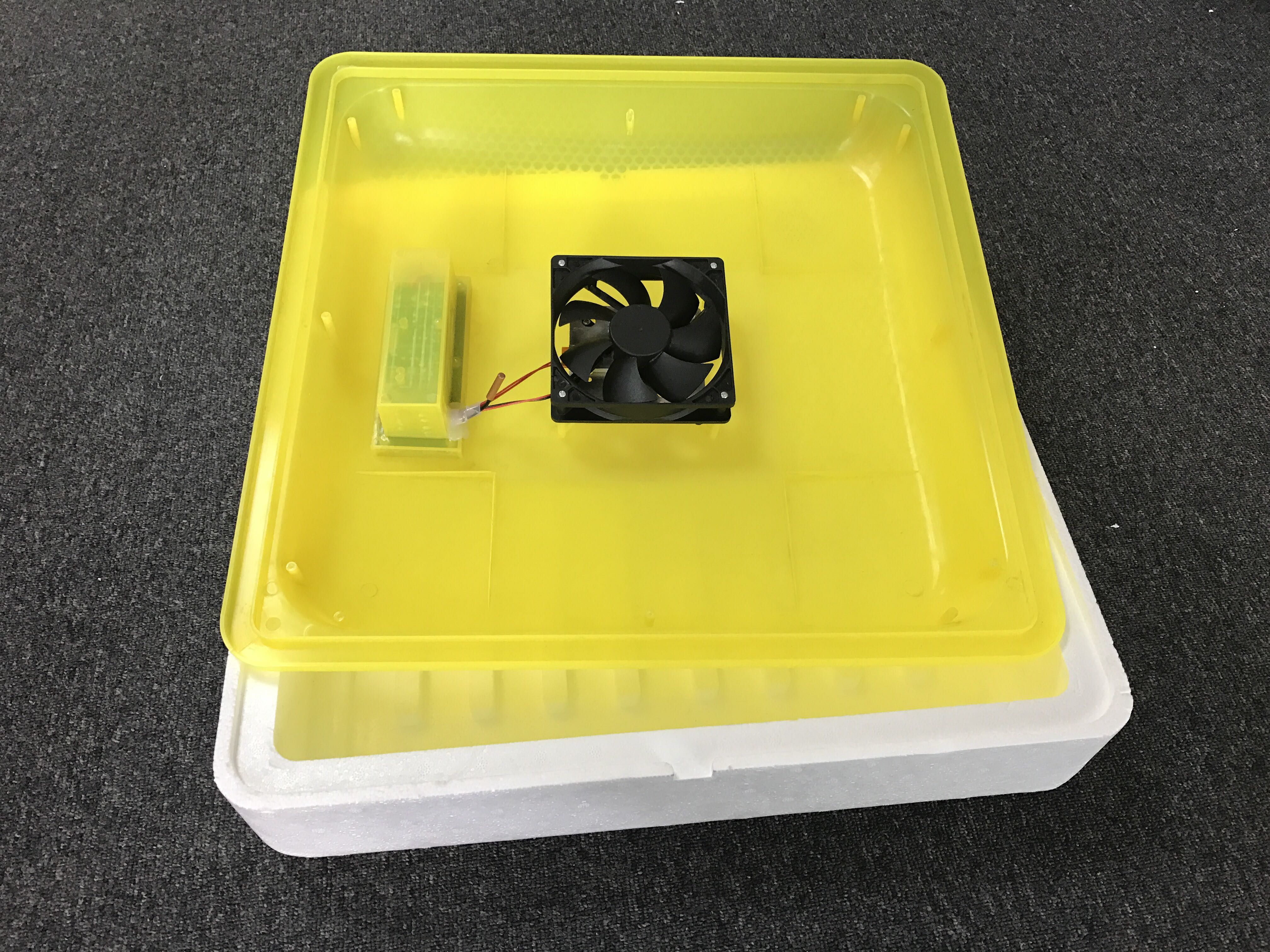 Image 4