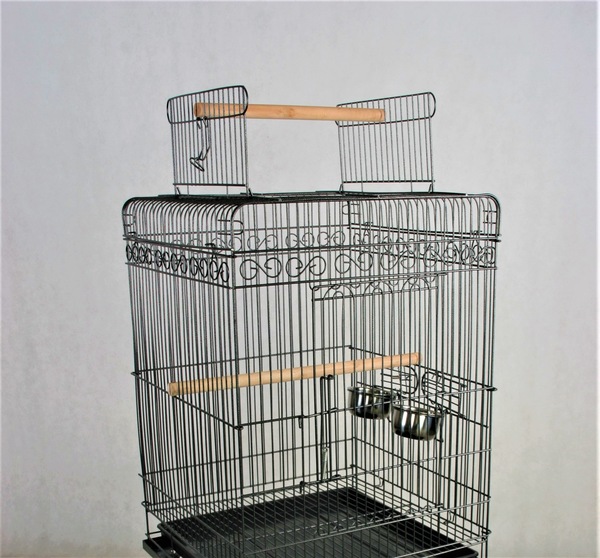 Image 6