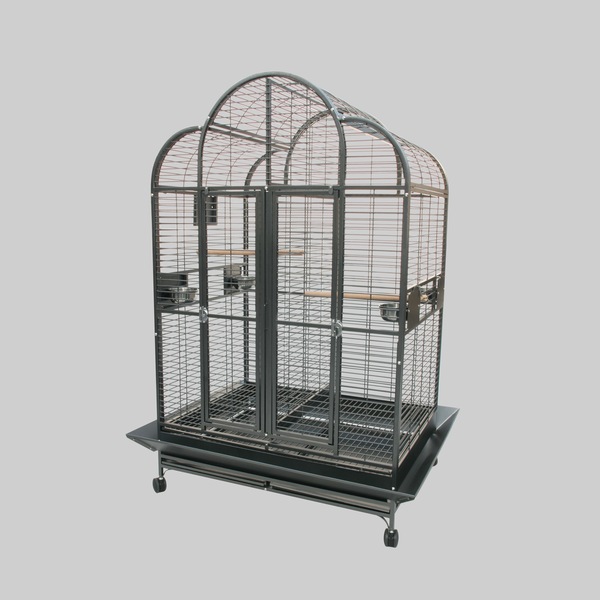 Image 7