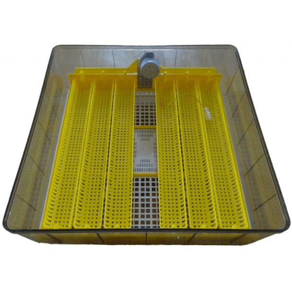 Image 3