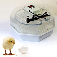JANOEL Digital 60 Eggs hexagon Incubator With LED Display Adjustable Temp