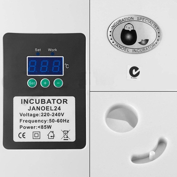 Image 4