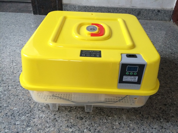 Image 3
