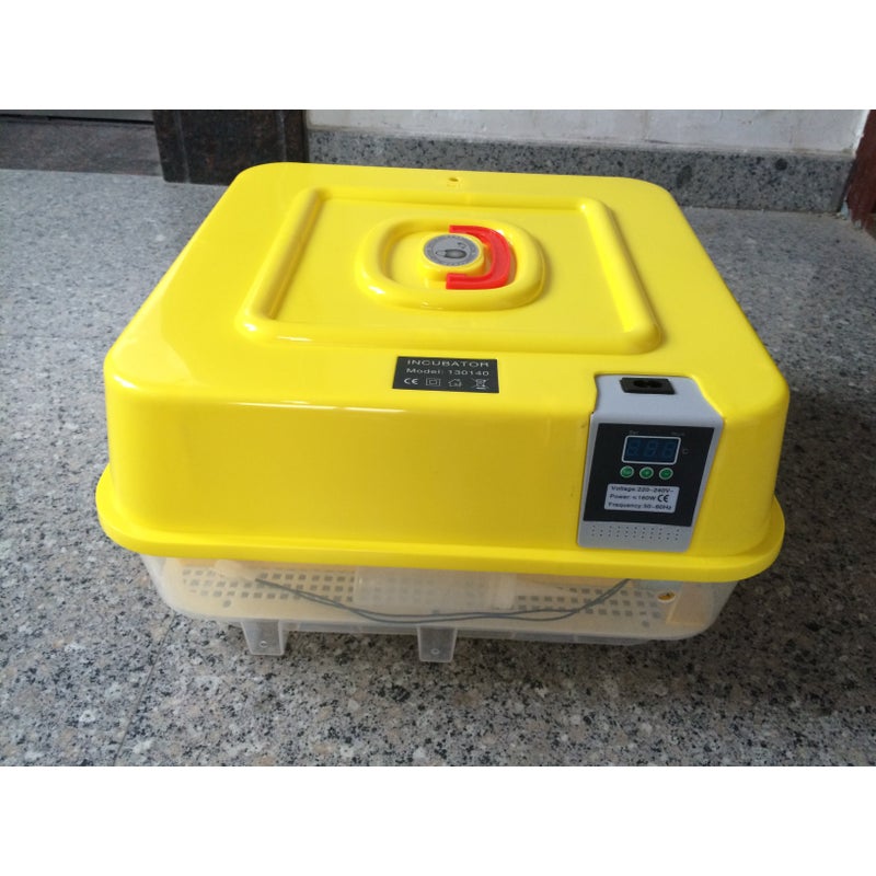 JANOEL Fully Automatic 39 Eggs Incubator | Buy Egg ...