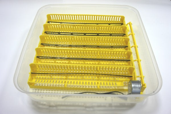 Image 7