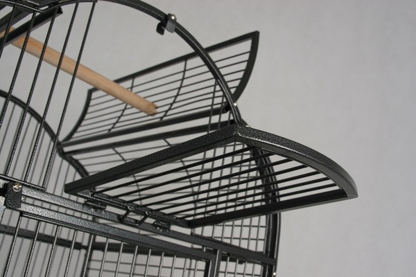 Image 6