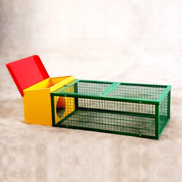 Image 3