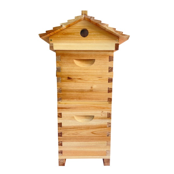 Image 4