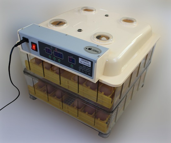 Image 1