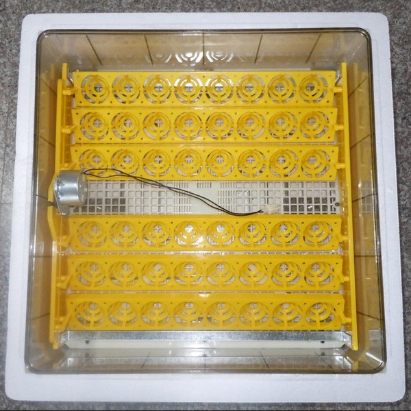 Image 4