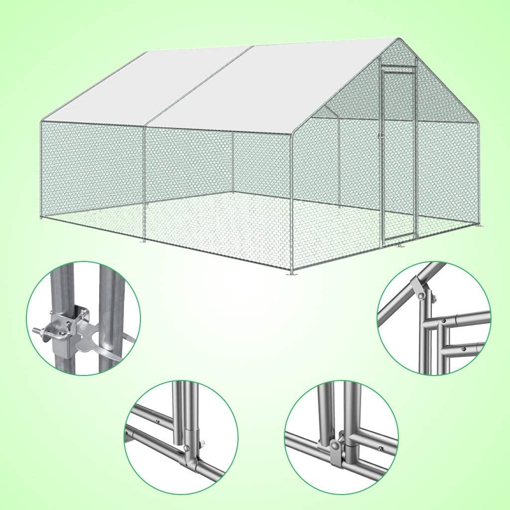 Image 11