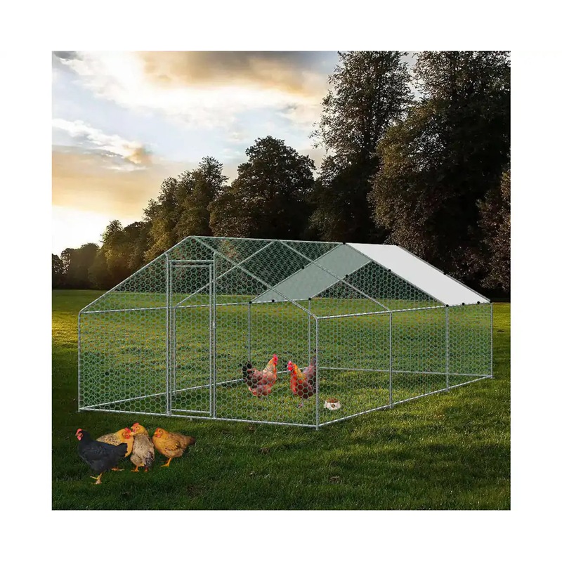 Buy Walkin 3X6X2M Steel Metal Chicken Coop Run Enclosure Poultry Cage