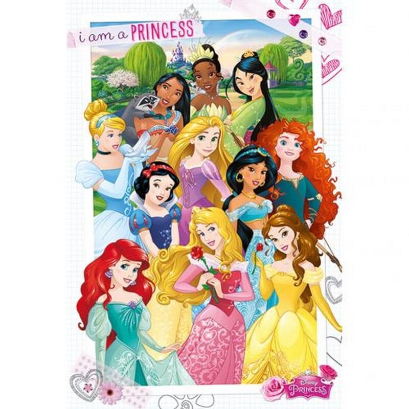 Buy Disney Princess Poster - MyDeal Australia