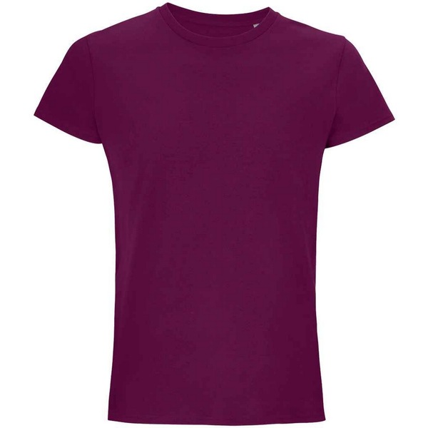 Image 21