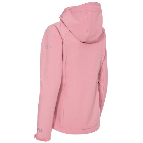 Image 19